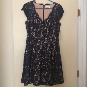 Eliza J Navy Blue & Beige Lace Dress